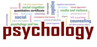 Substance Use Disorder – Psychology Notes – For W.B.C.S. Examination.