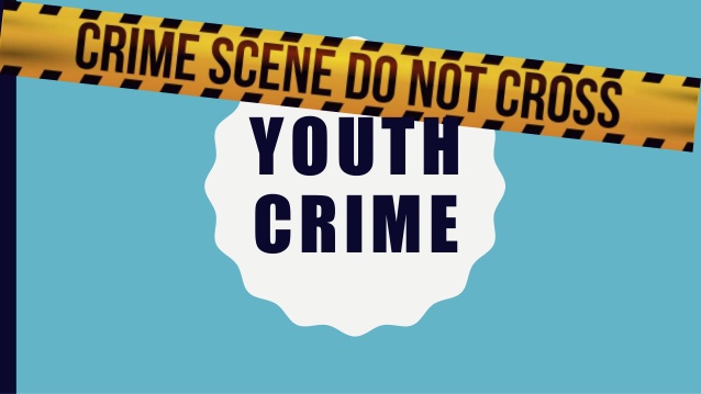 dissertation on youth crime