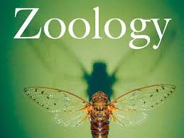 W.B.C.S. Main 2018 Question Answer – Zoology – GERL And Its Functions.