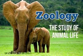 W.B.C.S Main 2005 Optional Question Paper Zoology.