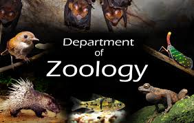 W.B.C.S Main 2006 Optional Question Paper Zoology.