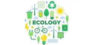 Environment Notes On – Ecology And Ecosystem – For W.B.C.S. Examination.