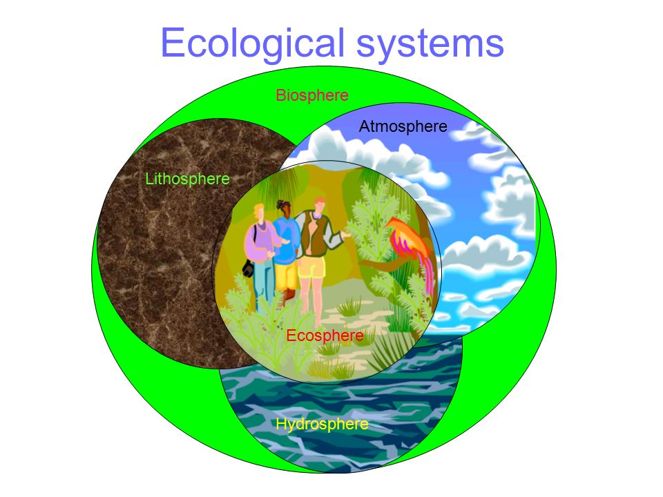 W.B.C.S. Examination Notes On – Factors Affecting Biosphere And Components Of Biosphere – Environment Notes.