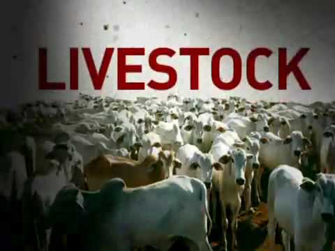 Organic Livestock Production – Animal Husbandry Veterinary Science Notes – For W.B.C.S. Examination.