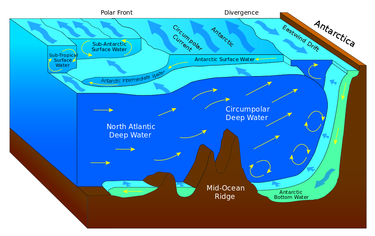 Geography Notes On – Water Mass – For W.B.C.S. Examination.