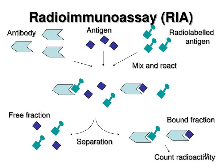 Radioimmunoassay (RIA) – Medical Science Notes – For W.B.C.S. Examination.