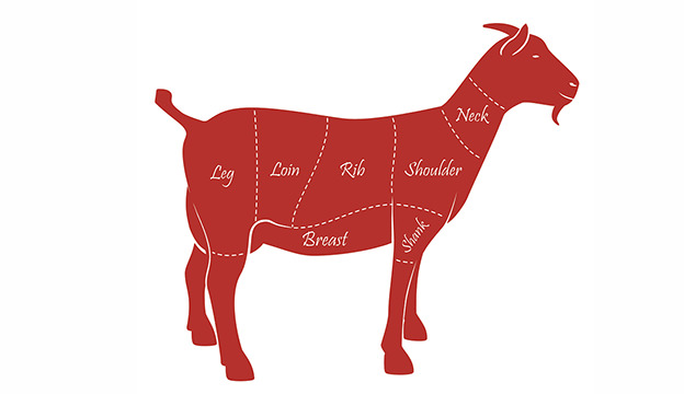 W.B.C.S. Examination Notes On – Goat Products And Marketing – Animal Husbandry Notes.
