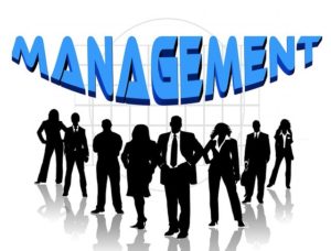 Management Notes On – Flexible Systems Management – For W.B.C.S. Examination.