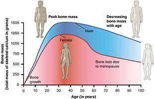 Menopause In Human – Zoology Notes – For W.B.C.S. Examination.