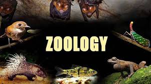 Neoteny – Zoology Notes – For W.B.C.S. Examination.