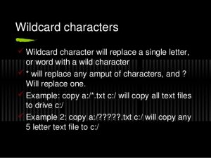 Wild Card Character In DOS – Computer Science Notes – For W.B.C.S. Examination.