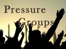 Political Science Notes On – Role Of Pressure Group In Democracy – For W.B.C.S. Examination.