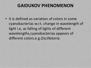 Botany Notes On – Gaidukov Phenomenon – For W.B.C.S. Examination.