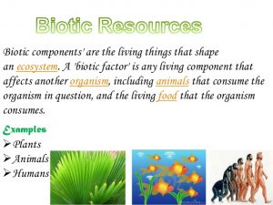 Geography Notes On – Biotic Resources Found In India – For W.B.C.S. Examination.